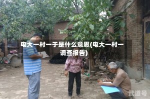 电大一村一于是什么意思(电大一村一调查报告)