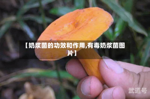 【奶浆菌的功效和作用,有毒奶浆菌图片】