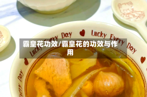 霸皇花功效/霸皇花的功效与作用