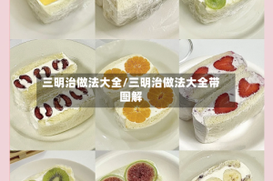 三明治做法大全/三明治做法大全带图解