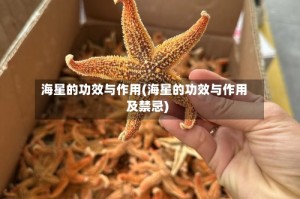 海星的功效与作用(海星的功效与作用及禁忌)