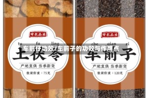 车前仔功效/车前子的功效与作用点