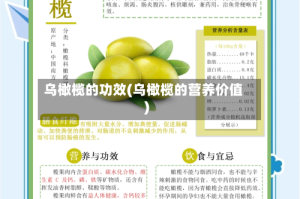 乌橄榄的功效(乌橄榄的营养价值)