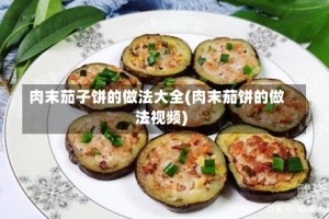 肉末茄子饼的做法大全(肉末茄饼的做法视频)