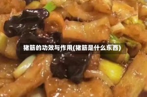 猪筋的功效与作用(猪筋是什么东西)