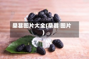 桑葚图片大全(桑葚 图片)