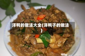 洋鸭的做法大全(洋鸭子的做法)