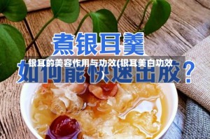 银耳的美容作用与功效(银耳美白功效)