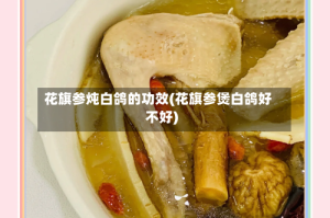 花旗参炖白鸽的功效(花旗参煲白鸽好不好)