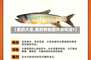 【鱼的大全,鱼的种类图片及叫法?】
