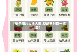 【梨子图片大全大图,梨成熟时间一览表】