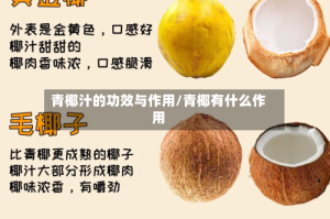 青椰汁的功效与作用/青椰有什么作用