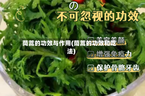 苘蒿的功效与作用(茼蒿的功效和吃法)