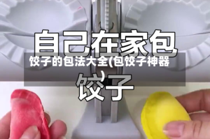 饺子的包法大全(包饺子神器)