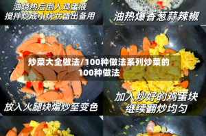 炒菜大全做法/100种做法系列炒菜的100种做法