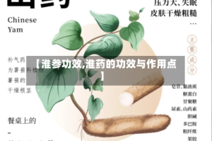 【淮参功效,淮药的功效与作用点】