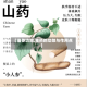 【淮参功效,淮药的功效与作用点】