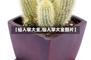 【仙人掌大全,仙人掌大全图片】