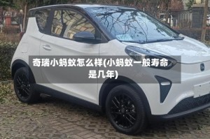 奇瑞小蚂蚁怎么样(小蚂蚁一般寿命是几年)