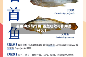 【墨鱼功效与作用,墨鱼功效与作用是什么】