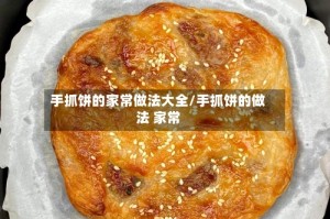 手抓饼的家常做法大全/手抓饼的做法 家常