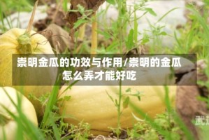 崇明金瓜的功效与作用/崇明的金瓜怎么弄才能好吃