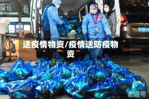 送疫情物资/疫情送防疫物资