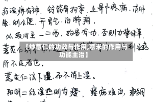 【炒薏仁的功效与作用,薏米的作用与功能主治】