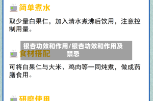 银杏功效和作用/银杏功效和作用及禁忌