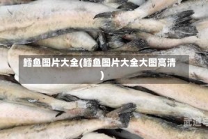 鳕鱼图片大全(鳕鱼图片大全大图高清)