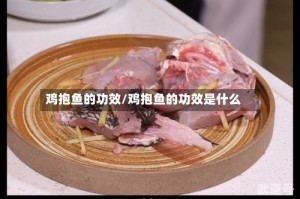 鸡抱鱼的功效/鸡抱鱼的功效是什么