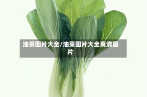 油菜图片大全/油菜图片大全高清图片