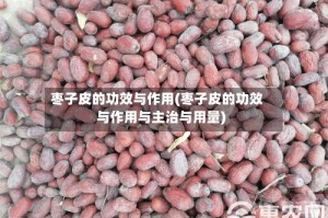 枣子皮的功效与作用(枣子皮的功效与作用与主治与用量)