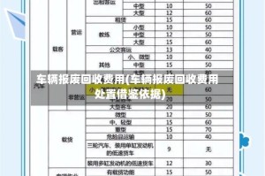 车辆报废回收费用(车辆报废回收费用处置借鉴依据)