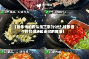 【酱牛肉的做法最正宗的做法,辣椒酱牛肉的做法最正宗的做法】
