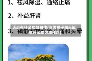 天麻有什么功效和作用(雪灵子和天麻有什么功效和作用)