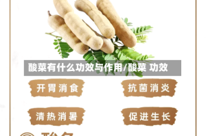 酸菜有什么功效与作用/酸菜 功效