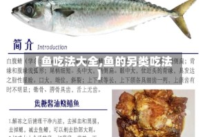 【鱼吃法大全,鱼的另类吃法】