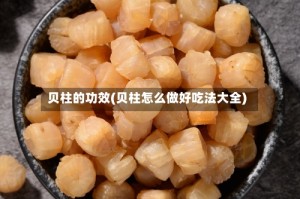 贝柱的功效(贝柱怎么做好吃法大全)