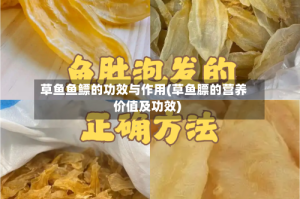 草鱼鱼鳔的功效与作用(草鱼膘的营养价值及功效)