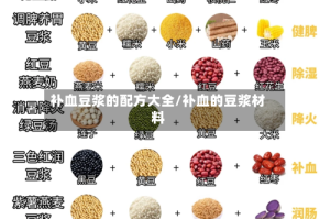 补血豆浆的配方大全/补血的豆浆材料