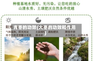 青枣的功效(大枣的功效和作用)