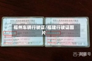 福州车辆行驶证/福建行驶证图片