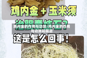 鸡内金的作用与功效/鸡内金的作用与功效和禁忌