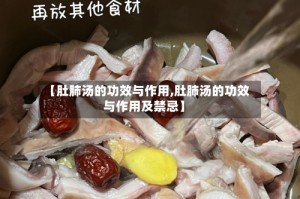 【肚肺汤的功效与作用,肚肺汤的功效与作用及禁忌】