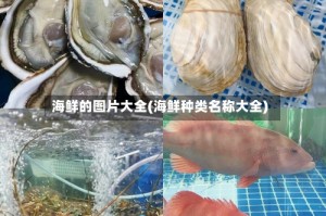 海鲜的图片大全(海鲜种类名称大全)