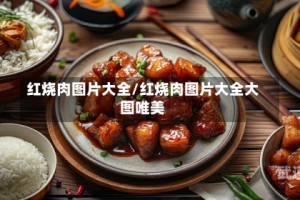 红烧肉图片大全/红烧肉图片大全大图唯美
