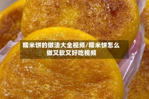 糯米饼的做法大全视频/糯米饼怎么做又软又好吃视频
