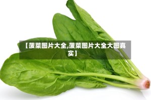 【菠菜图片大全,菠菜图片大全大图真实】