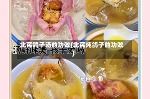 北芪鸽子汤的功效(北芪炖鸽子的功效)